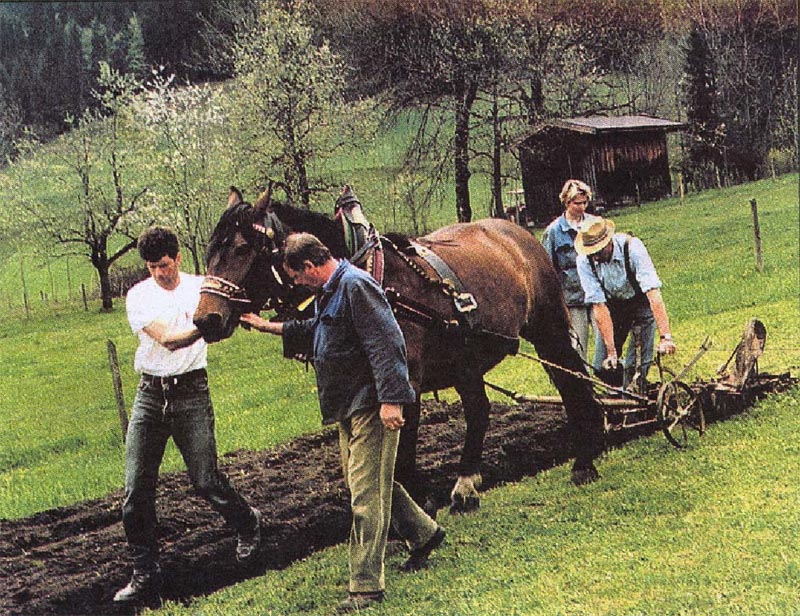 Flachsprojekt Pillersee